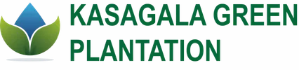 Plantation Scaled logo